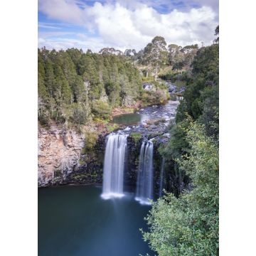 Lais Puzzle - Dangar Falls Wasserfall Weg Coffs Harbour nach Armidale New South Wales Australien - 100, 200, 500 & 1.000 Teile