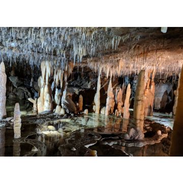 Lais Puzzle - Parks Victoria Buchan Caves, Stalaktiten und Stalagmiten im Inneren der Royal Cave, Australien - 100, 200, 500 & 1.000 Teile