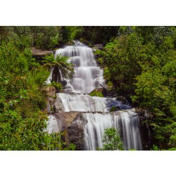 Lais Puzzle - Wunderschöne Fainter Falls im australischen Urwald. Kiewa Tal, Victoria, Australien - 100, 200, 500 & 1.000 Teile