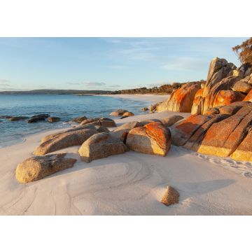 Lais Puzzle - Mit Flechten bedeckte Felsen. Bay of Fires. Tasmanien. Australien - 100, 200, 500 & 1.000 Teile