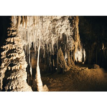 Lais Puzzle - Marakoopa-Höhle in Mayberry, Mole Creek, Tasmanien, Australien - 100, 200, 500 & 1.000 Teile