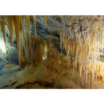 Lais Puzzle - Marakoopa-Höhle in Tasmanien, Australien - 100, 200, 500 & 1.000 Teile