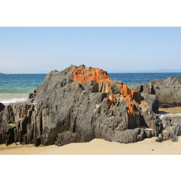 Lais Puzzle - Spiky Beach, Küste bei Swansea, Tasmanien, Australien - 100, 200, 500 & 1.000 Teile