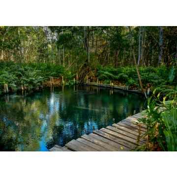 Lais Puzzle - Mangrovenwald am Ria Celestun See, Mexiko - 100, 200, 500 & 1.000 Teile