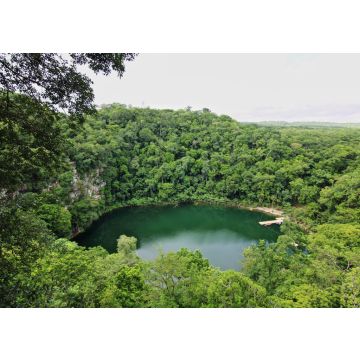 Lais Puzzle - Cenote Miguel Colorado, Mexiko - 100, 200, 500 & 1.000 Teile