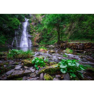 Lais Puzzle - Der Vieiros-Fluss, der Wasserfall, Mexiko - 100, 200, 500 & 1.000 Teile