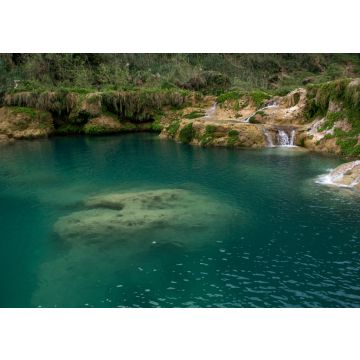 Lais Puzzle - Türkisfarbenes Wasserbecken mit Kalksteinformationen unter Wasser, umgeben von Wasserfällen im mit Farnen bewachsenen Fels, Mexiko - 100, 200, 500 & 1.000 Teile