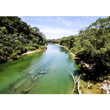 Lais Puzzle - Blick auf einen der Flüsse von Tabasco - 100, 200, 500 & 1.000 Teile