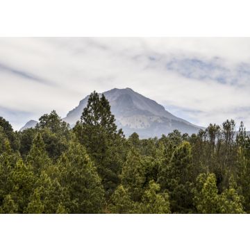 Lais Puzzle - La Malinche National Park Tlaxcala, Mexiko - 100, 200, 500 & 1.000 Teile