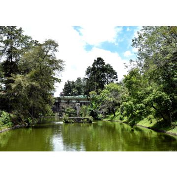 Lais Puzzle - Los Lagos, Xalapa Veracruz, Mexiko - 100, 200, 500 & 1.000 Teile