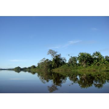 Lais Puzzle - Naturlandschaft an den Ufern des Gurupi-Flusses, der die brasilianischen Bundesstaaten Para und Maranhao trennt - 100, 200, 500 & 1.000 Teile