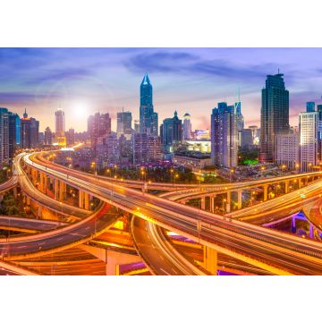Lais Puzzle - Skyline Shanghai, China - 100, 200, 500 & 1.000 Teile
