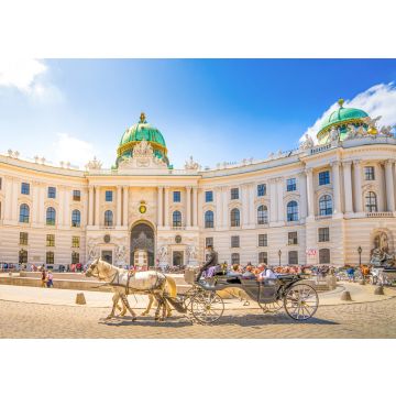 Lais Puzzle - Alte Hofburg, Wien, Österreich - 100, 200, 500 & 1.000 Teile