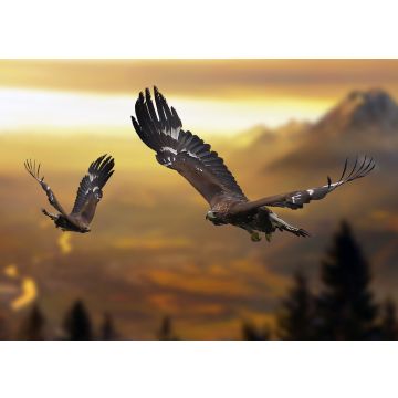 Lais Puzzle - Adler / Steinadler im Flug - 100, 200, 500 & 1.000 Teile
