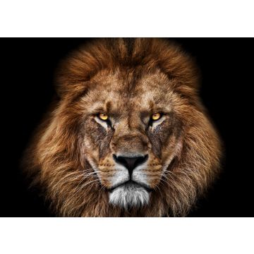 Lais Puzzle - Löwe - 100, 200, 500 & 1.000 Teile