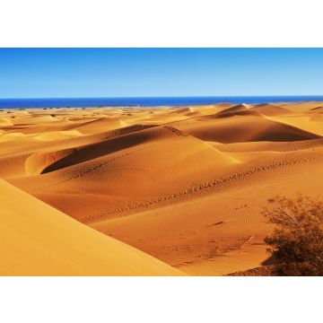 Lais Puzzle - Naturreservat der Dünen von Maspalomas, auf Gran Canaria, Spanien - 100, 200, 500 & 1.000 Teile