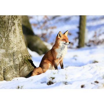 Lais Puzzle - Fuchs - 100, 200, 500 & 1.000 Teile