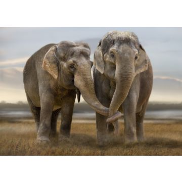 Lais Puzzle - Elefanten - 100, 200, 500 & 1.000 Teile