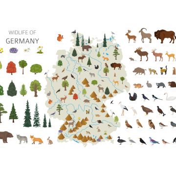 Lais Puzzle - Deutschlands Tierleben - 100, 200, 500 & 1.000 Teile