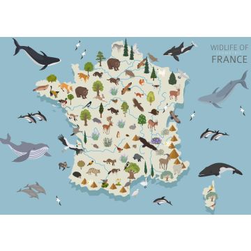 Lais Puzzle - Frankreichs Tierleben - 100, 200, 500 & 1.000 Teile