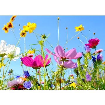Lais Puzzle - Blumen - 100, 200, 500 & 1.000 Teile