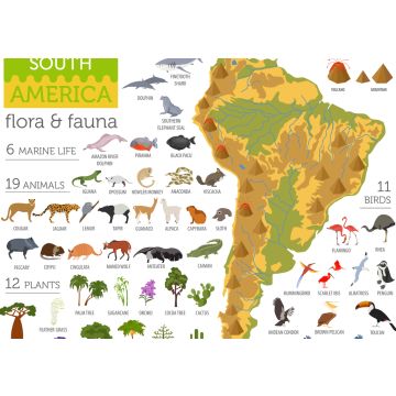 Lais Puzzle - Südamerika Flora und Fauna - 100, 200, 500 & 1.000 Teile
