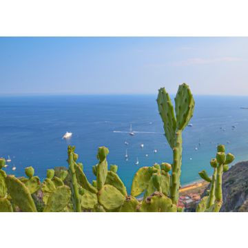 Lais Puzzle - Kakteen am Meer - 100, 200, 500 & 1.000 Teile
