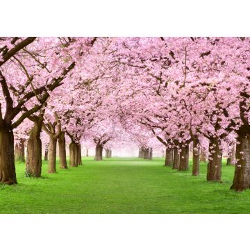 Lais Puzzle - Kirschblüten - 100, 200, 500 & 1.000 Teile