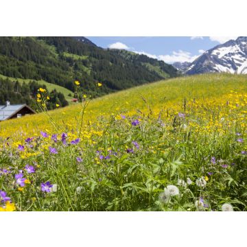 Lais Puzzle - Kleinwalsertal in Österreich - 100, 200, 500 & 1.000 Teile