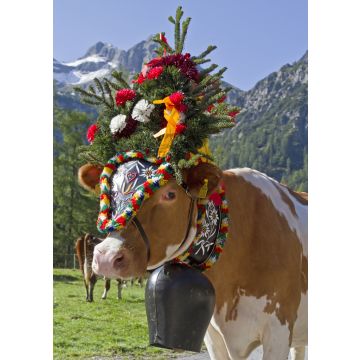 Lais Puzzle - Kuh/Kühe - 100, 200, 500 & 1.000 Teile
