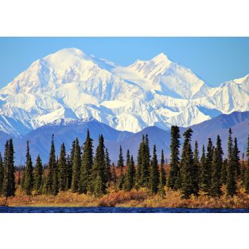 Lais Puzzle - Denali Nationalpark Alaska - 100, 200, 500 & 1.000 Teile