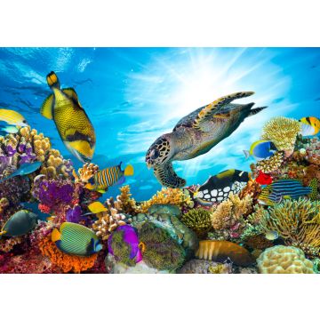 Lais Puzzle - Unterwasser Fische Tropen - 100, 200, 500 & 1.000 Teile