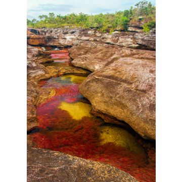 Lais Puzzle - Ein vielfarbiger Fluss in Kolumbien - 100, 200, 500 & 1.000 Teile