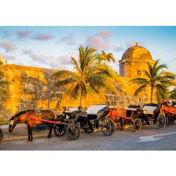 Lais Puzzle - Von Pferden gezogene touristische Kutschen in der historischen spanischen Kolonialstadt Cartagena de Indias, Kolumbien - 100, 200, 500 & 1.000 Teile