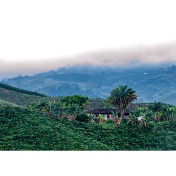 Lais Puzzle - Schöner Blick auf eine Kaffeeplantage im Morgengrauen bei Manizales, Kolumbien - 100, 200, 500 & 1.000 Teile