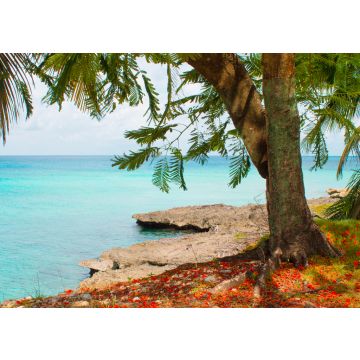 Lais Puzzle - SAN ANDRES INSEL STRASSE - KOLUMBIEN - 100, 200, 500 & 1.000 Teile