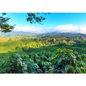 Lais Puzzle - Blick auf eine Kaffeeplantage bei Manizales, Kolumbien - 100, 200, 500 & 1.000 Teile