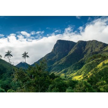 Lais Puzzle - Quindio-Wachspalmen im Valle de Cocora,nahe Salente, Zona Cafetera, Kolumbien - 100, 200, 500 & 1.000 Teile