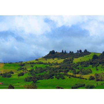 Lais Puzzle - Guatavita, Kolumbien Lagune oder See el dorado Legende - 100, 200, 500 & 1.000 Teile