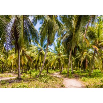 Lais Puzzle - Ein Blick im Tayrona-Nationalpark in Kolumbien - 100, 200, 500 & 1.000 Teile