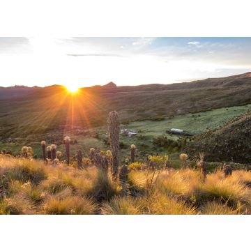 Lais Puzzle - Tot Springs (Termales de Cañón) in der Nähe des Vulkans Nevado del Tolima im Los Nevados National Park, Kolumbien - 100, 200, 500 & 1.000 Teile