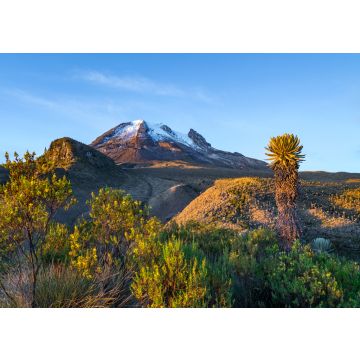 Lais Puzzle - Vulkan Tolima im Los Nevados National Park mit üppiger Vegetation frailejones (Espeletia), Kolumbien - 100, 200, 500 & 1.000 Teile
