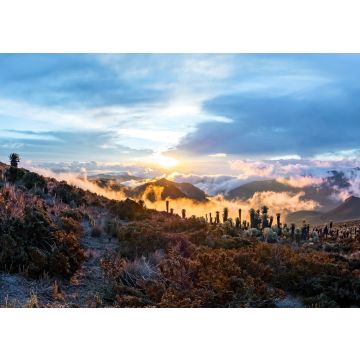 Lais Puzzle - Vulkan Tolima im Los Nevados National Park mit prächtiger Vegetation frailejones (Espeletia) Expedition mit Blick vom Basislager, Kolumbien - 100, 200, 500 & 1.000 Teile