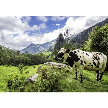 Lais Puzzle - Wunderschöne Tageswanderung im Cocora-Tal im Salento, Kolumbien - 100, 200, 500 & 1.000 Teile