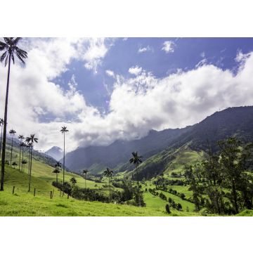 Lais Puzzle - Schöne Tageswanderung Landschaft von Valle del Cocora in Salento, Kolumbien - 100, 200, 500 & 1.000 Teile