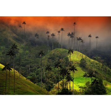 Lais Puzzle - Bewölkte Landschaft des Cocora-Tals, Salento, Kolumbien - 100, 200, 500 & 1.000 Teile