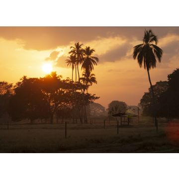 Lais Puzzle - Sonnenuntergang in Montería Córdoba, Kolumbien - 100, 200, 500 & 1.000 Teile