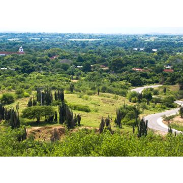 Lais Puzzle - Naturlandschaft in Huila, Neiva, Kolumbien - 100, 200, 500 & 1.000 Teile