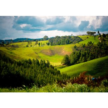 Lais Puzzle - Llanos de Cuiva, Antioquia, Kolumbien - 100, 200, 500 & 1.000 Teile