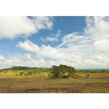 Lais Puzzle - Serrania de la Lindosa, Guayanes-Schild-Formation, Guaviare, Kolumbien - 100, 200, 500 & 1.000 Teile